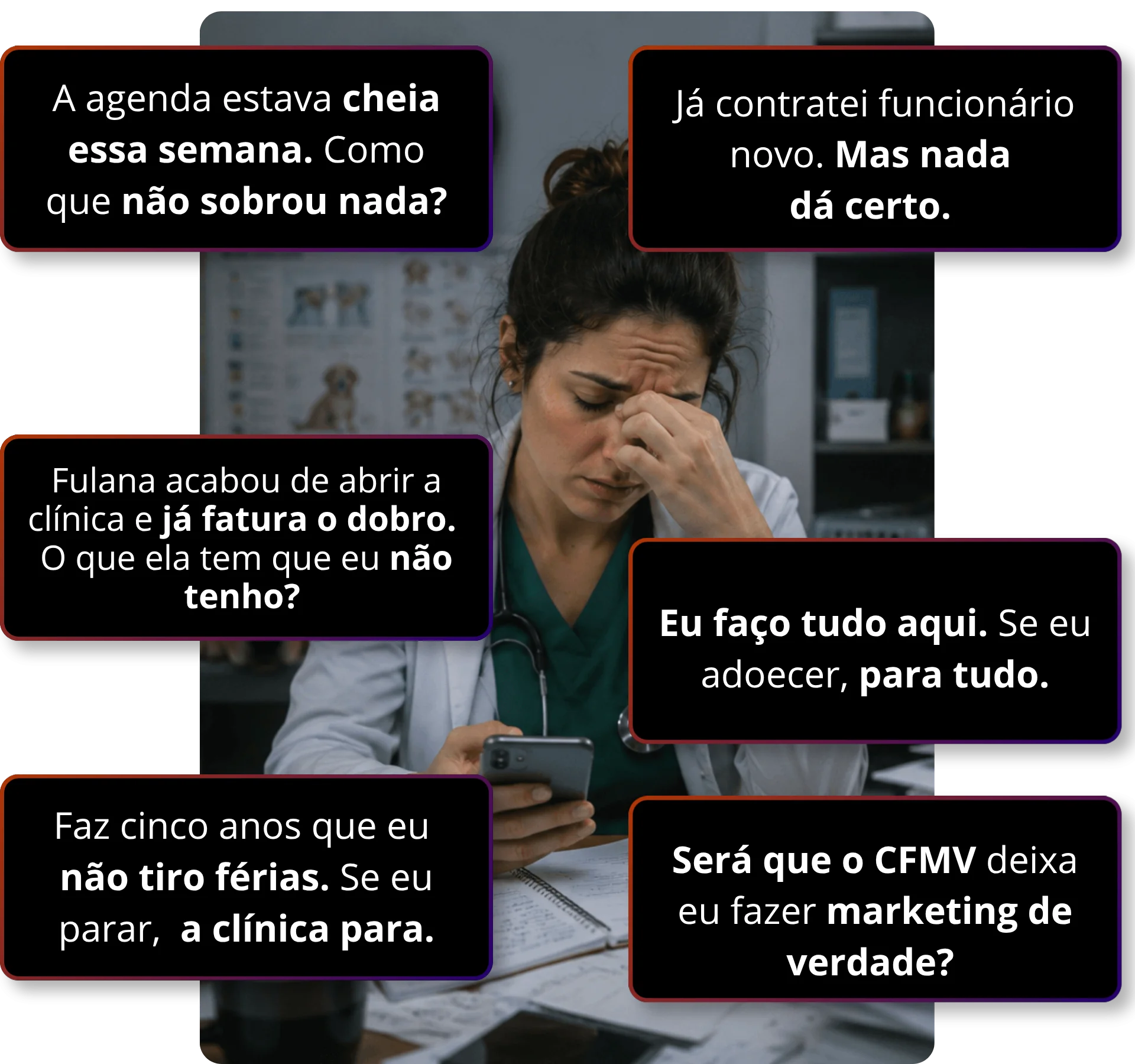 Frases e depoimentos de veterinárias