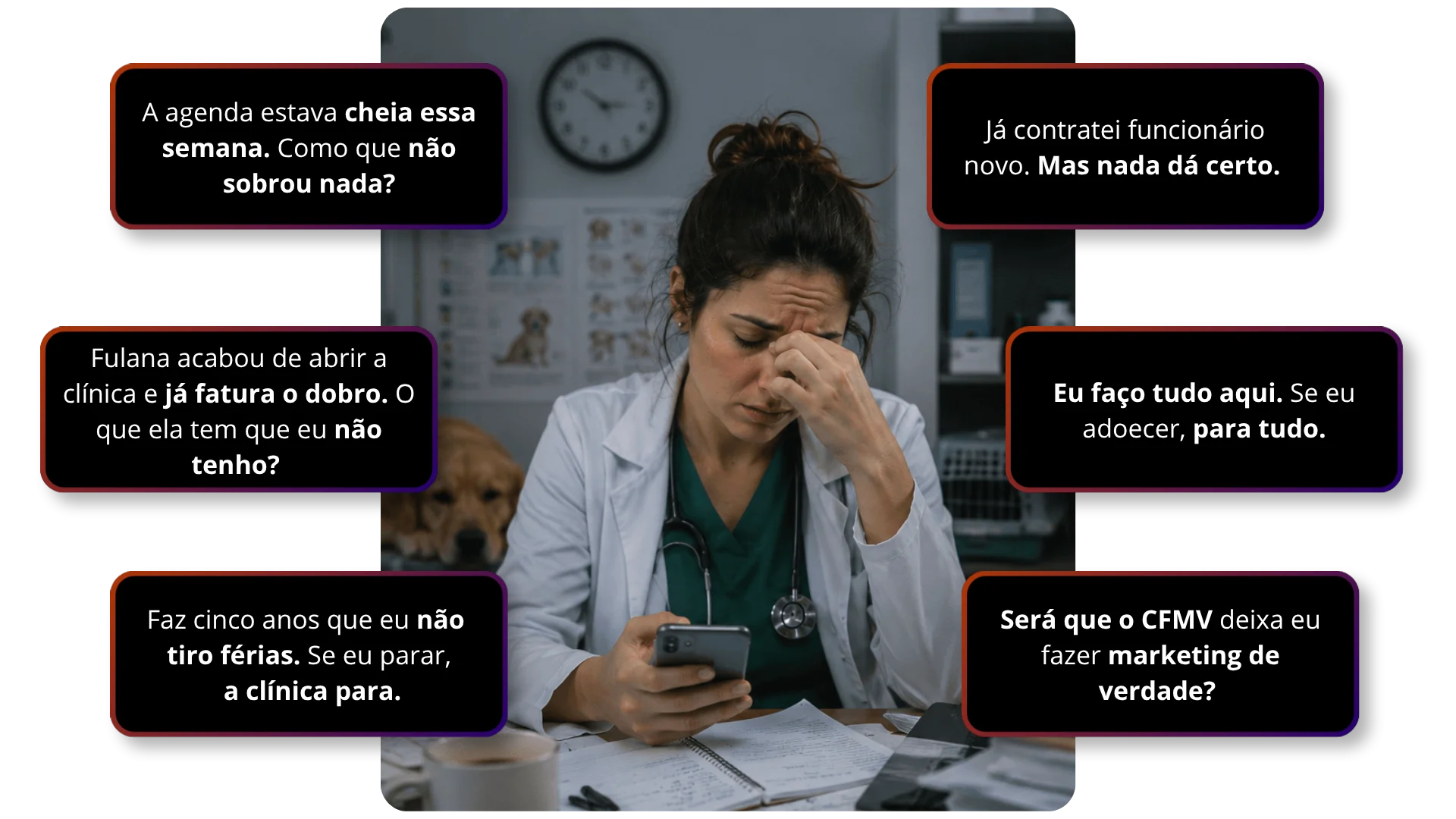 Frases e depoimentos de veterinárias